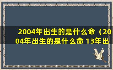 2004年出生的是什么命（2004年出生的是什么命 13年出生什么命）